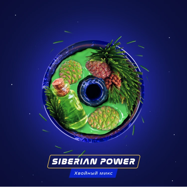 Паста Space Smoke BASIC Siberian Power (Хвоя Сосна Пихта) 30 гр в Мурманске